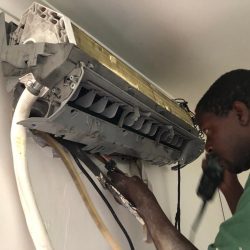 WhatsApp Image 2024-10-21 at 12.26.02